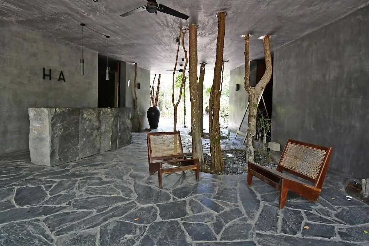 Jungle Sanctuary With Spa Τουλούμ Μεξικό